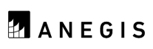 Anegis - Top Microsoft Consulting/Services Companies Anegis