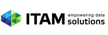 ITAM solutions