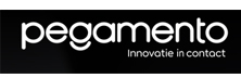 Pegamento - Top Digital Process Automation Solutions Companies Pegamento
