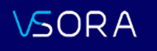 VSORA - Automotive Solutions In Europe VSORA
