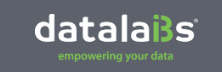 Datalabs - Top Big Data Analytics Companies Datalabs
