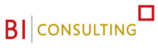 BI Consulting
