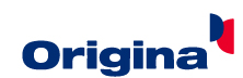 Origina - Top IBM Solutions Companies Origina